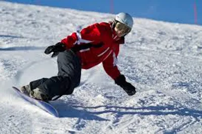 Illustration boarder - Image 2