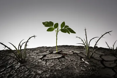 Illustration unfavorable