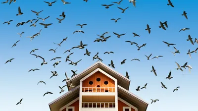 Illustration secondaries - Image 1