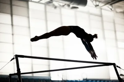 Illustration kip - Image 1