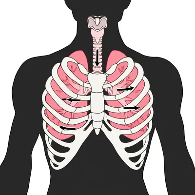 Illustration inspiration