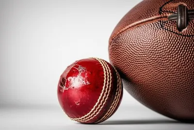 Illustration leathers - Image 1