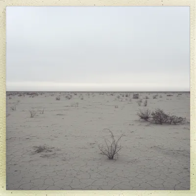 Illustration stark - Image 1