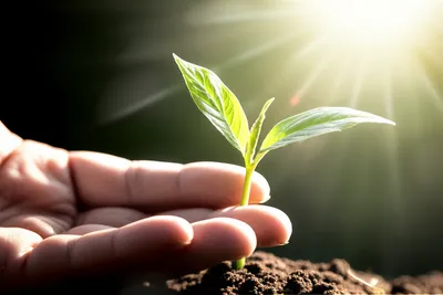 Illustration availed - Image 1