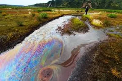 Illustration seep - Image 3