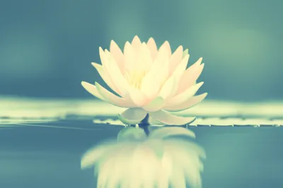 Illustration zen - Image 1