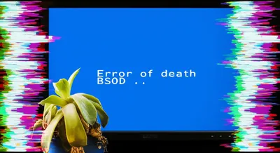 Illustration dies - Image 1