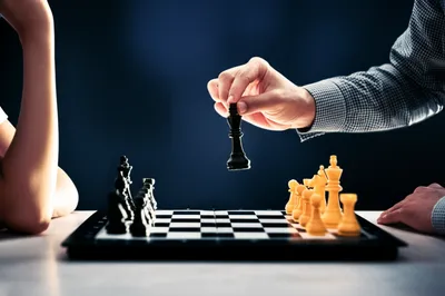 Illustration bidding - Image 1