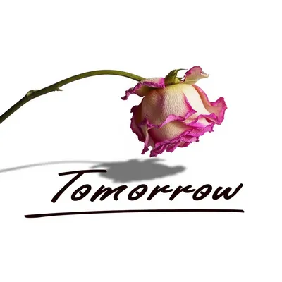 Illustration delayed - Image 1