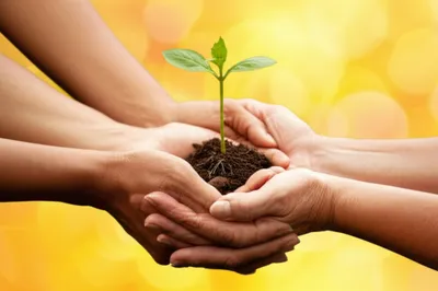 Illustration services - Image 1