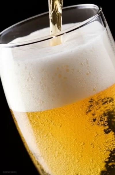 Illustration livelier - Image 1