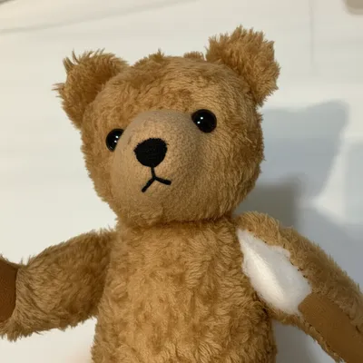 Illustration stuffed - Image 1