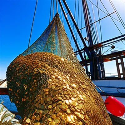 Illustration nets - Image 1