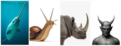 Illustration horn - Image 1