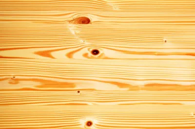 Illustration pinewood - Image 1