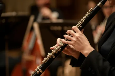 Illustration hautboys - Image 1