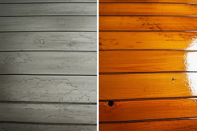 Illustration glossed - Image 1