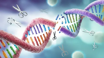 Illustration restriction - Image 1