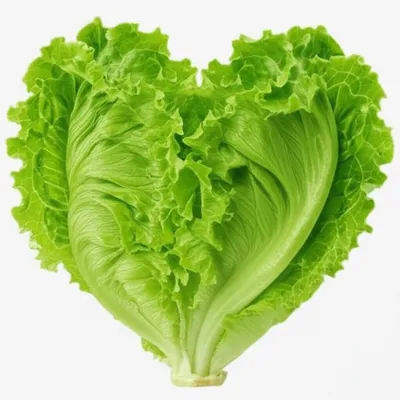 Illustration heart - Image 1