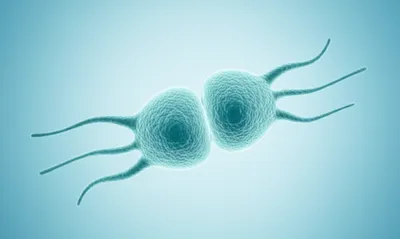 Illustration amoebae - Image 1