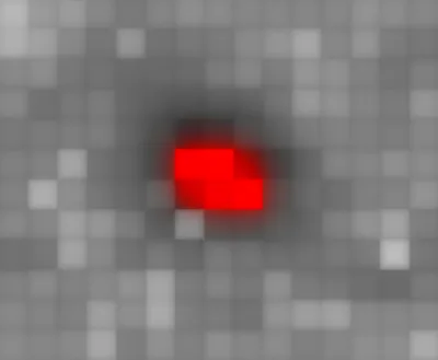 Illustration fact - Image 1