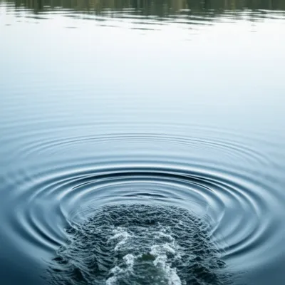 Illustration views - Image 1