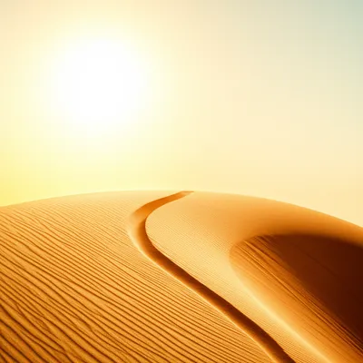 Illustration seen - Image 1