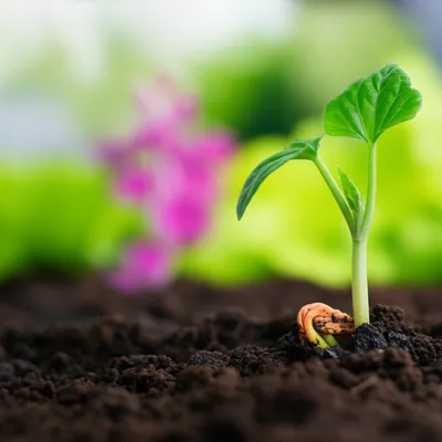 Illustration openings - Image 1