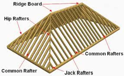 Illustration hip - Image 2