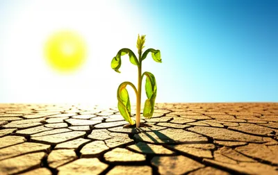 Illustration ineffectual