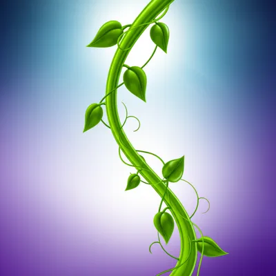 Illustration incurve - Image 1