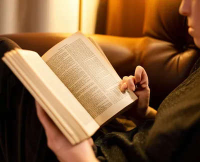 Illustration perusing - Image 1