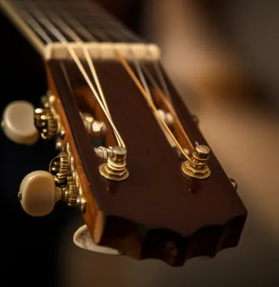 Illustration peg - Image 1