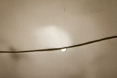 Illustration prick - Image 1