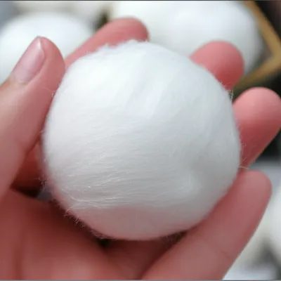 Illustration wadding - Image 1