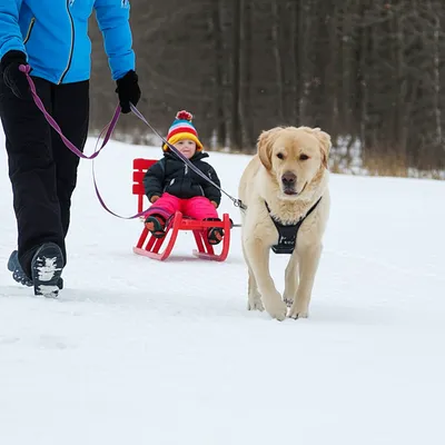 Illustration got - Image 1