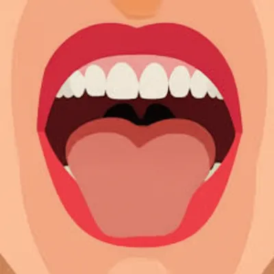 Illustration articulations - Image 1