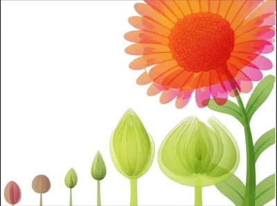 Illustration evolving - Image 1