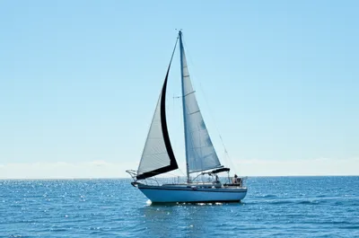 Illustration foresail - Image 1