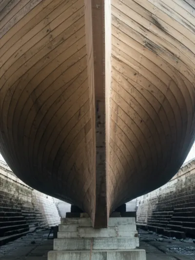 Illustration skins - Image 1