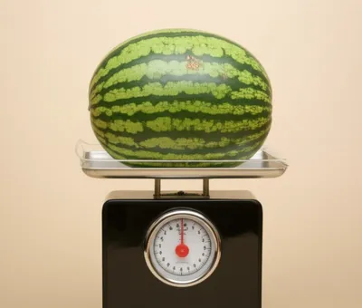 Illustration bloat - Image 1