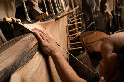 Illustration beamed - Image 1