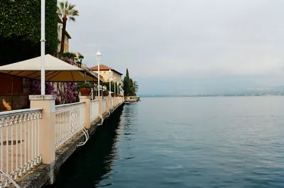 Illustration rambled - Image 2