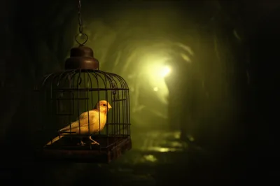 Illustration damp - Image 1