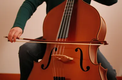 Illustration gambas - Image 1