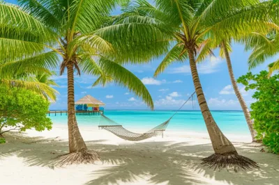 Illustration getaway - Image 1