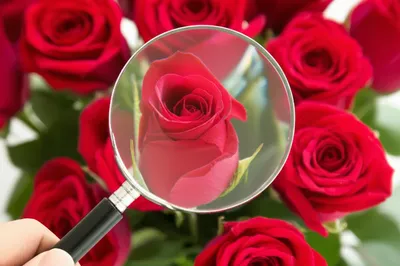 Illustration lacks - Image 1