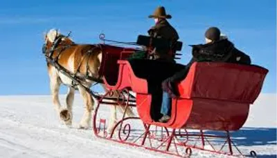 Illustration sleigh - Image 2