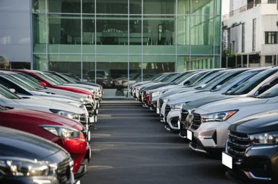 Illustration dealerships