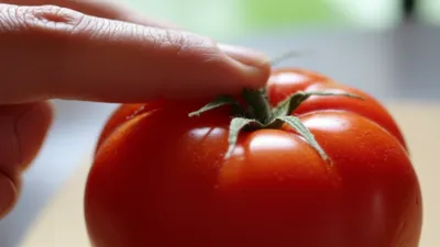 Illustration thumbed - Image 1